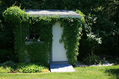 Как построить сарай на даче своими руками с фото