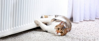 Радиаторы отопления: какие лучше для квартиры и дома