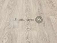 Линолеум бытовой BiNBACK Дизайн - САТИН ОАК 504 (2.0 м)