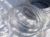 Колючая проволока СББ АКЛ 500/40/3