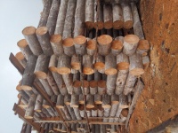 Строительство домов из Карельской сухостойной сосны