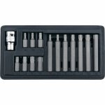 Набор бит TORX, хвостовик-шестигранник, 10 мм, CrV, 15 предм.
STELS 11315