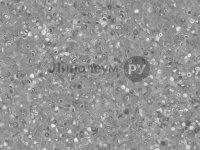 Линолеум коммерческий гомогенный GP POLIS Дизайн - MULTIPLE BASALT (2.0 м)