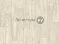 Линолеум полукоммерческий SOLiD PORTO Дизайн - SHELDON OAK W07 (3.0 м)