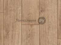 Ламинат OAK 33/12 Дизайн - ДУБ T93 (8шт)