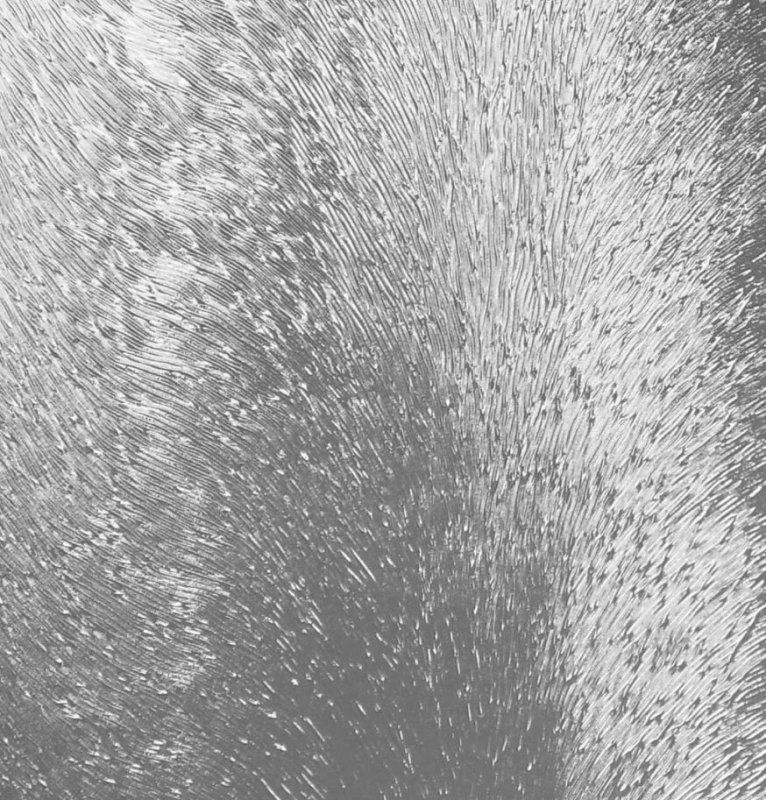 Душевой уголок RGW Passage PA-44 115х100х185 (113-130)х100х185 04084410-51 (шиншилла) Хром