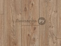 Ламинат OAK 33/12 Дизайн - ДУБ Т97 (8шт)