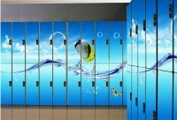 Шкафы шкафчики из пластика HPL, локеры для тренажерных залов, спортивных раздевалок, бассейнов HPL