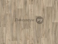 Линолеум полукоммерческий SOLiD PORTO Дизайн - SHELDON OAK W35 (2.0 м)