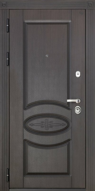 Входная металлическая дверь Regidoors Премиум WF (980х2050 Левая (Петли слева))