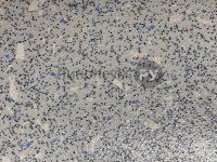 Линолеум промышленный ECOSAFE Дизайн - SAFETY FLOOR 1204-663-20-279 (2.0 м)