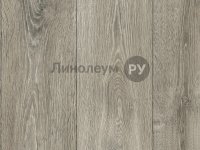 Линолеум полукоммерческий SOLiD PORTO Дизайн - SAUDER OAK W96 (3.0 м)