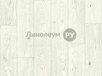 Линолеум бытовой ECONOM Дизайн - АРЧЕ Е501 (2.5 м)