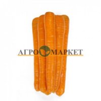 Морковь морелия F1 1,8-2,0 (1 000 000 семян) Rijk Zwaan