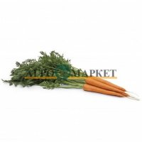 Морковь вармия F1 1,6-1,8 (1 000 000 семян) Rijk Zwaan