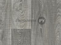 Линолеум полукоммерческий SMART GOLF Дизайн - WiNTER OAK 891 (2.5 м)