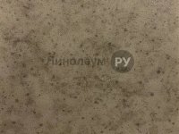Линолеум коммерческий акустический NEO Дизайн - GRAY 499 (2.0 м)
