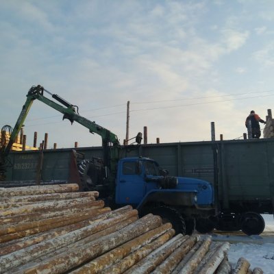 Балансы хвойные тонкомер сосна на вагоне