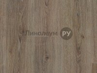 Ламинат OAK 33/12 Дизайн - ДУБ T92 (8шт)