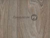 Линолеум коммерческий TiTAN 70 Дизайн - ACZENT WOOD TT041 (2.5 м)