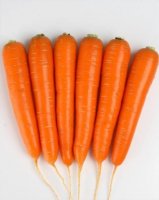 Морковь натива F1 (1 000 000 семян) Sakata