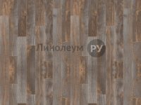 Линолеум коммерческий EXTRA Дизайн - WOOD 2336-229 (3.0 м)