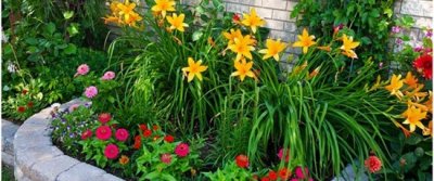 Клумбы на даче своими руками