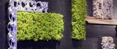 Необычное использование растений в доме