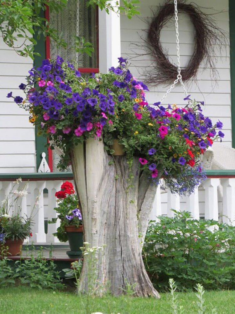 Красивые клумбы из многолетних цветов: 84 фото, готовые схемы | manikyrsha.ru
