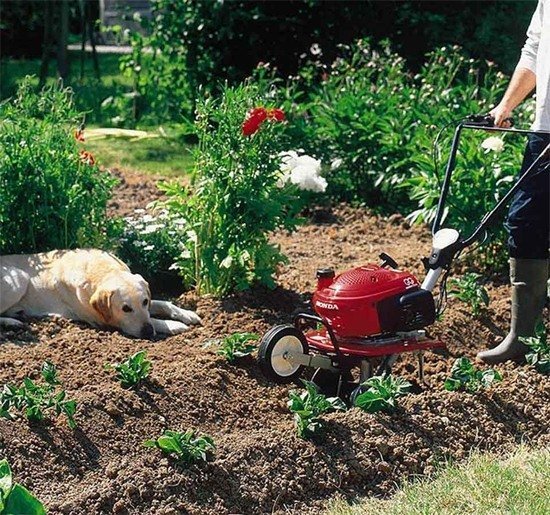 Садовая  техника, техника для сада