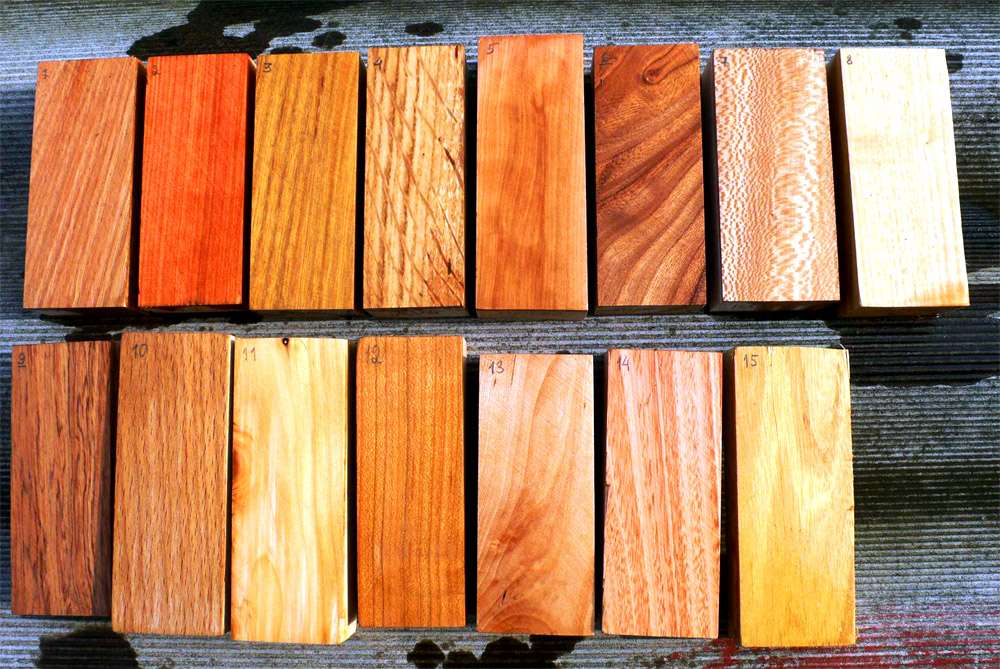 Основные виды древесины для строительства