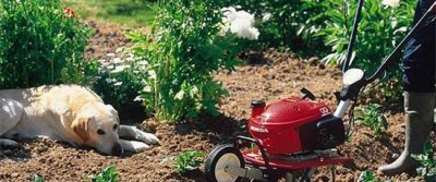 Садовая техника – надежный помощник в обустройстве территории