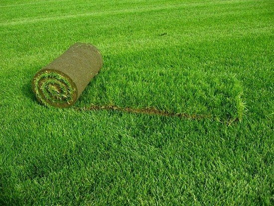 Как выбрать искусственный газон: советы профессионалов