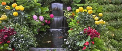 Садовые композиции