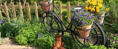 Как украсить дачный участок