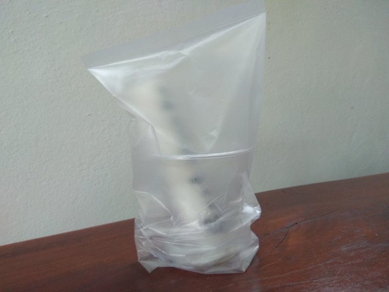Нужно поставить наш пакет в стаканчик с водой (0,5 см) и накрыть пакетом для создания парникового эффекта