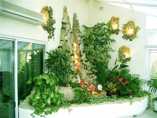 Зимний сад в квартире (44 фото): выбор места, стиля и растений