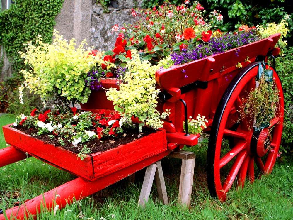 Красный декор цветов в саду